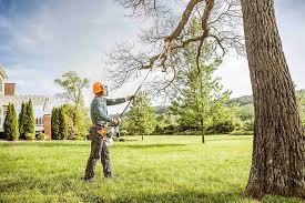 Best Tree Mulching  in Limestone, IL